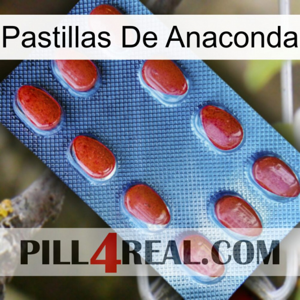 Anaconda Pills 06.jpg